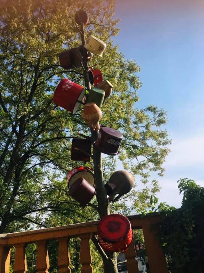 Pensiunea Casa Mariuca Văleni エクステリア 写真