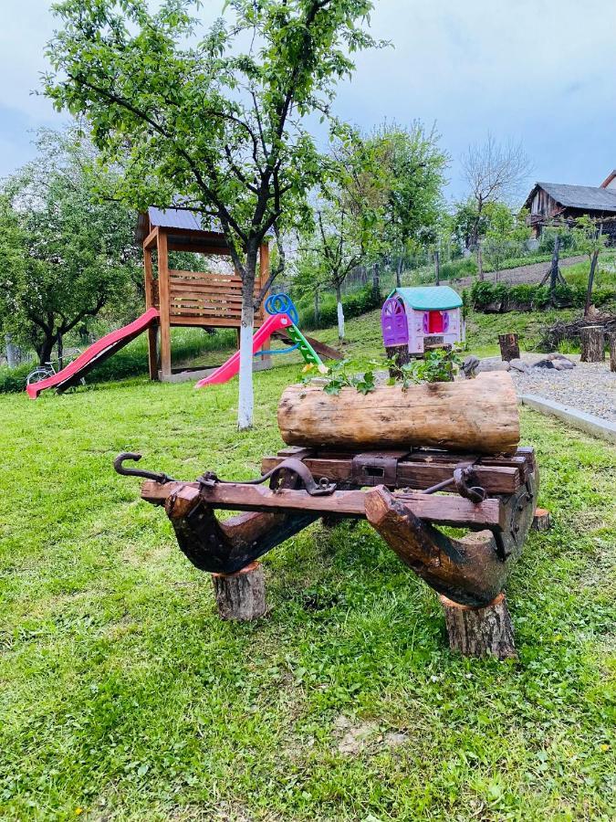 Pensiunea Casa Mariuca Văleni エクステリア 写真
